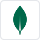 MongoDB MongoDB