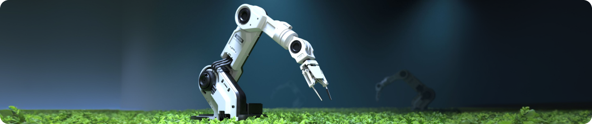 RPA Programmers